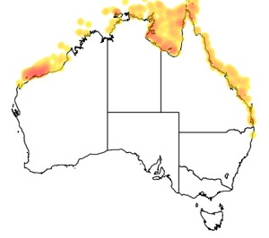 Species Distribution Map
